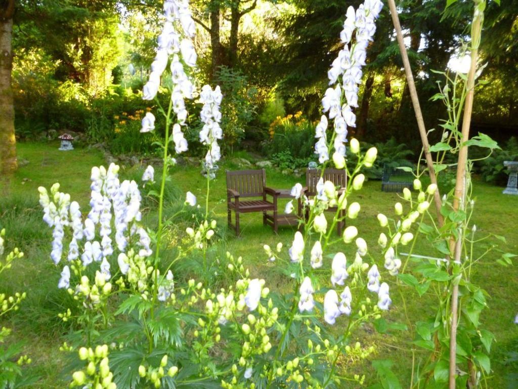 Kettle House B&B Fort Augustus Exteriér fotografie